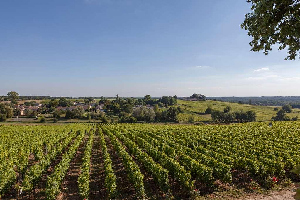 Chateau D'Arche, Grand Cru Classe De Sauternes Kemudahan gambar