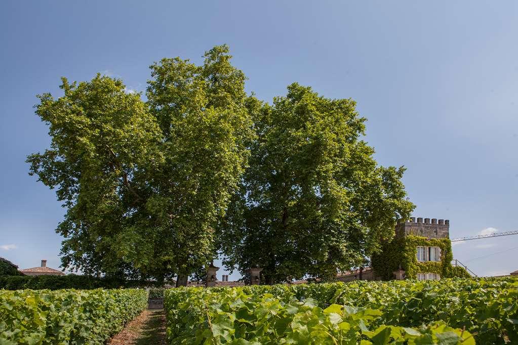 Chateau D'Arche, Grand Cru Classe De Sauternes Kemudahan gambar